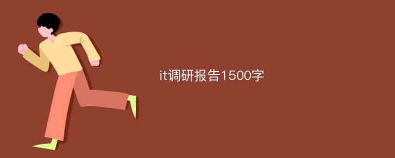 it调研报告1500字
