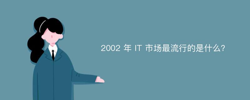 2002 年 IT 市场最流行的是什么？