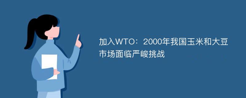 加入WTO：2000年我国玉米和大豆市场面临严峻挑战