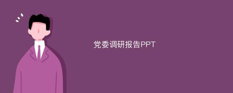 党委调研报告PPT